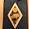 Знак ромб МАМИ — Тяжёлый металл, эмаль